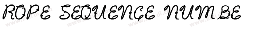 Rope Sequence Numbe字体转换